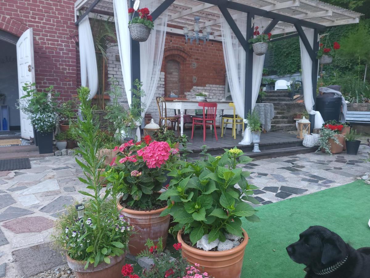 Krzywa Apartamenty Lidzbark Warmiński Exteriör bild