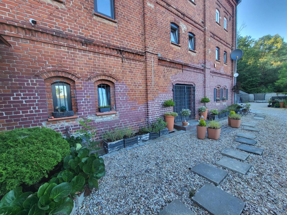 Krzywa Apartamenty Lidzbark Warmiński Exteriör bild